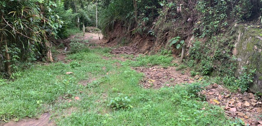 Land for Sale in Ampitiya – 45 Perches