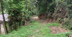 Land for Sale in Ampitiya – 45 Perches