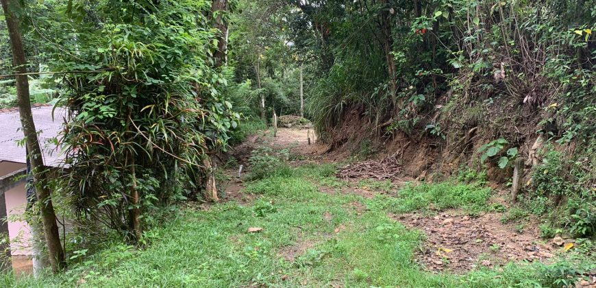 Land for Sale in Ampitiya – 45 Perches