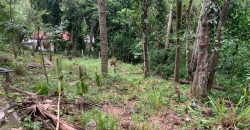 Land for Sale in Ampitiya – 45 Perches