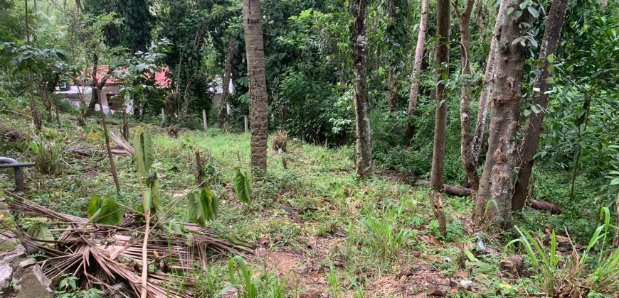 Land for Sale in Ampitiya – 45 Perches