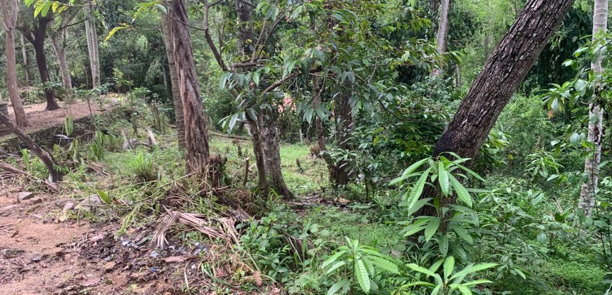 Land for Sale in Ampitiya – 45 Perches