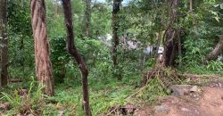 Land for Sale in Ampitiya – 45 Perches