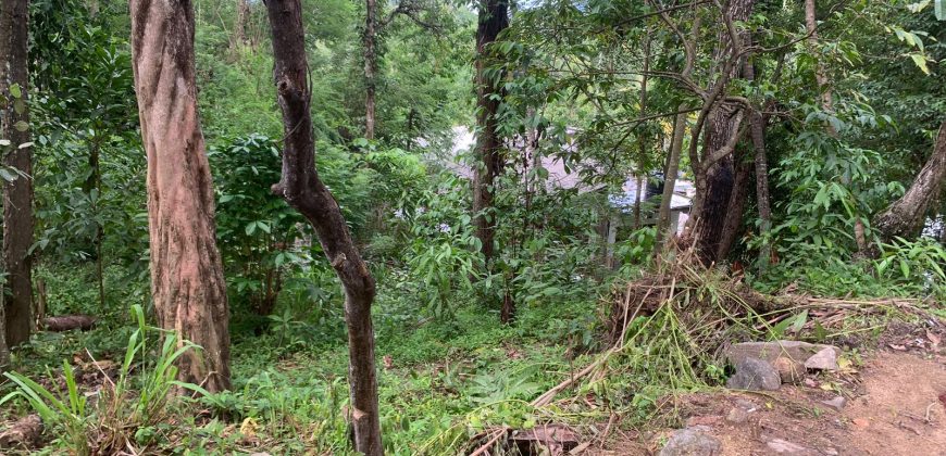 Land for Sale in Ampitiya – 45 Perches