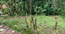 Land for Sale in Ampitiya – 45 Perches