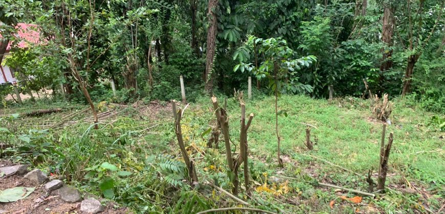 Land for Sale in Ampitiya – 45 Perches