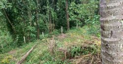 Land for Sale in Ampitiya – 45 Perches
