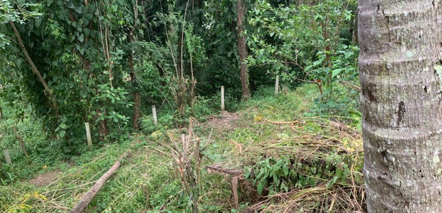 Land for Sale in Ampitiya – 45 Perches