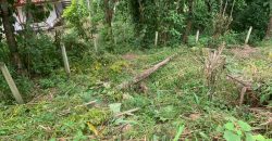 Land for Sale in Ampitiya – 45 Perches