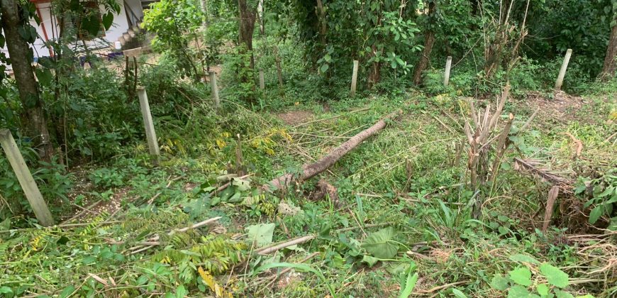 Land for Sale in Ampitiya – 45 Perches