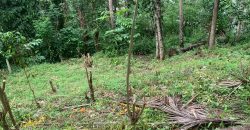Land for Sale in Ampitiya – 45 Perches