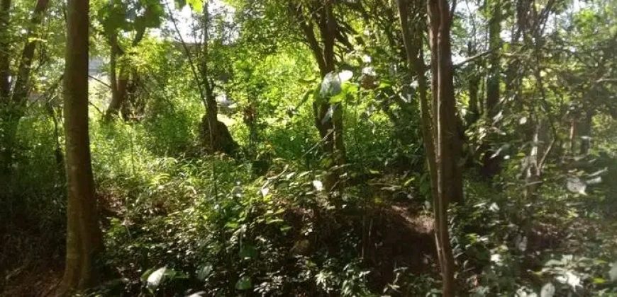 Sinnakkara Land for Sale in Digana – 23 Perches