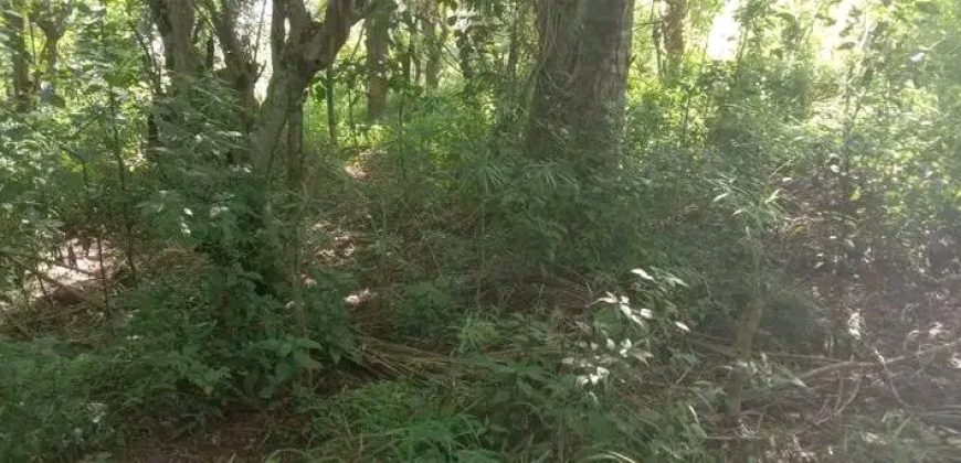 Sinnakkara Land for Sale in Digana – 23 Perches