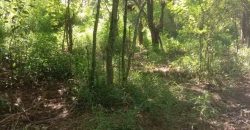 Sinnakkara Land for Sale in Digana – 23 Perches