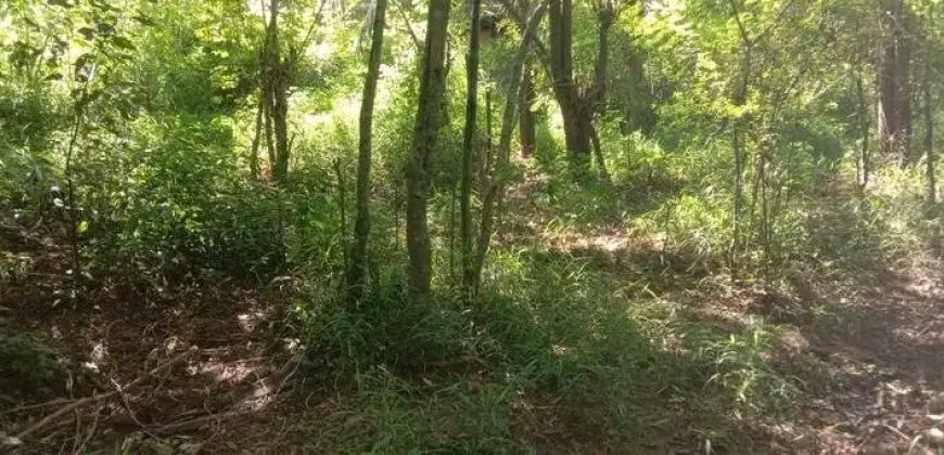 Sinnakkara Land for Sale in Digana – 23 Perches