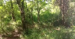 Sinnakkara Land for Sale in Digana – 23 Perches