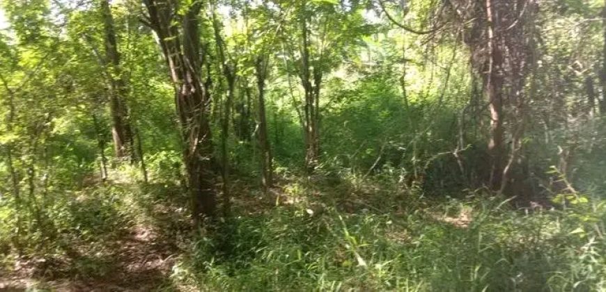 Sinnakkara Land for Sale in Digana – 23 Perches