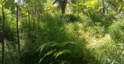 Sinnakkara Land for Sale in Digana – 23 Perches