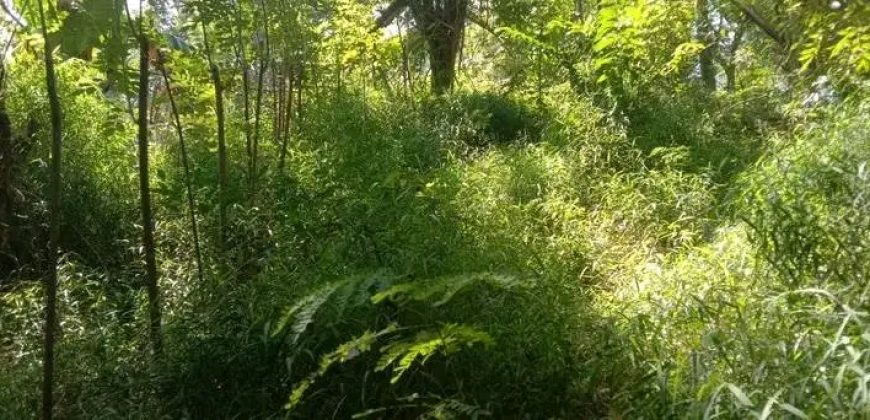 Sinnakkara Land for Sale in Digana – 23 Perches