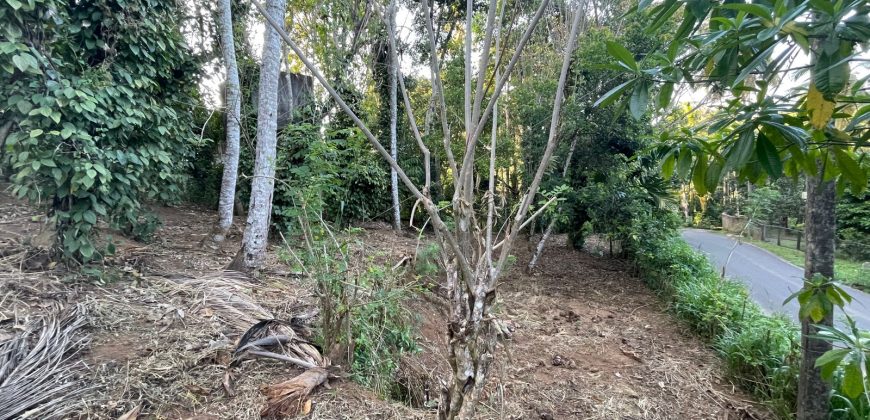 Land for Sale in Nugawela – 100 Perches
