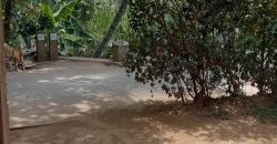House for Sale in Kundasale – 8 Perches