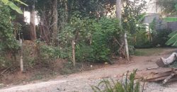 Land with House for Sale in Menikhinna
