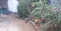 Land with House for Sale in Menikhinna
