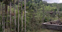 Two-Storey House with Land for Sale in Peradeniya