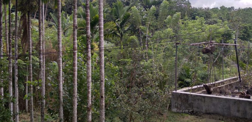 Two-Storey House with Land for Sale in Peradeniya