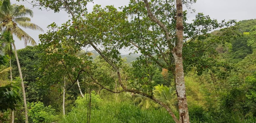 Land for Sale in Paradaniya
