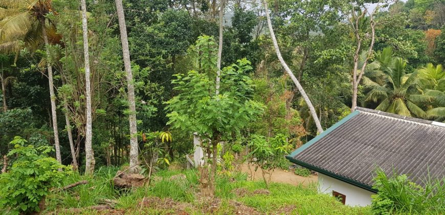 Land for Sale in Paradaniya