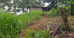 Land for Sale in Paradaniya