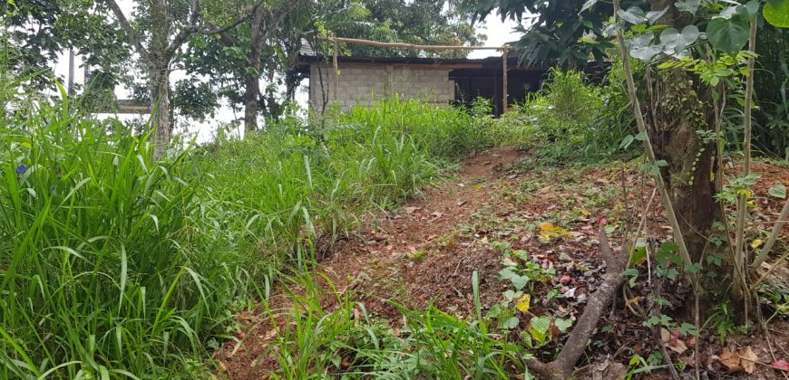 Land for Sale in Paradaniya