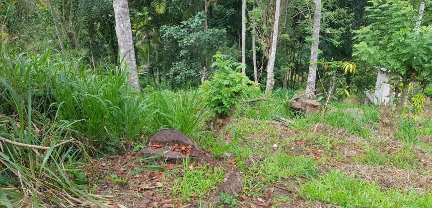 Land for Sale in Paradaniya