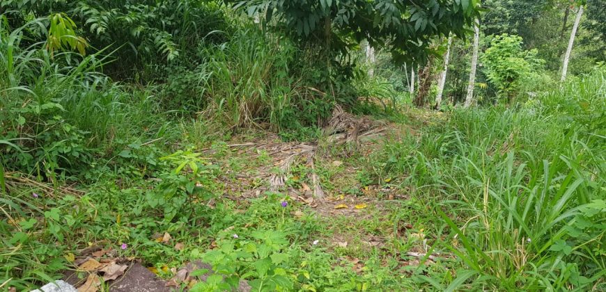 Land for Sale in Paradaniya