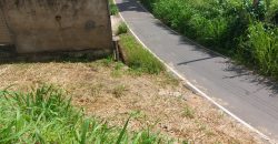 Land for Sale in Paradaniya