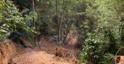 Land for Sale in Gannoruwa