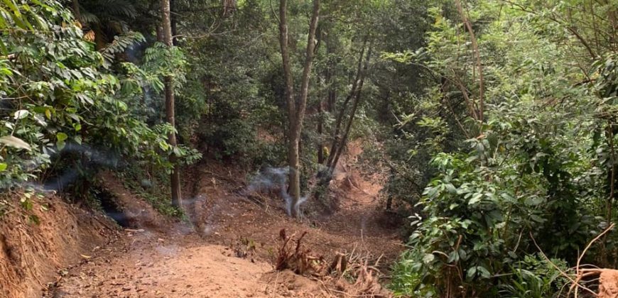 Land for Sale in Gannoruwa