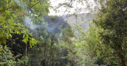 Land for Sale in Gannoruwa