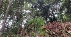 Land for Sale in Gannoruwa