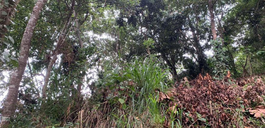 Land for Sale in Gannoruwa