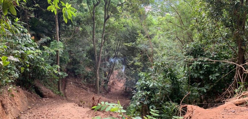 Land for Sale in Gannoruwa