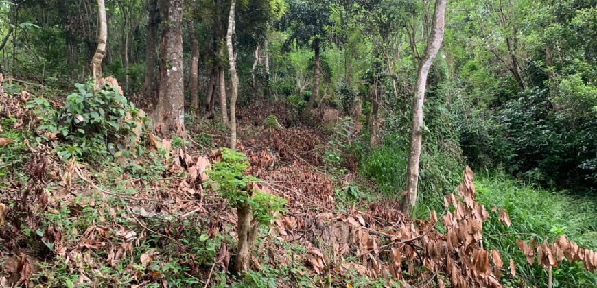 Land for Sale in Gannoruwa