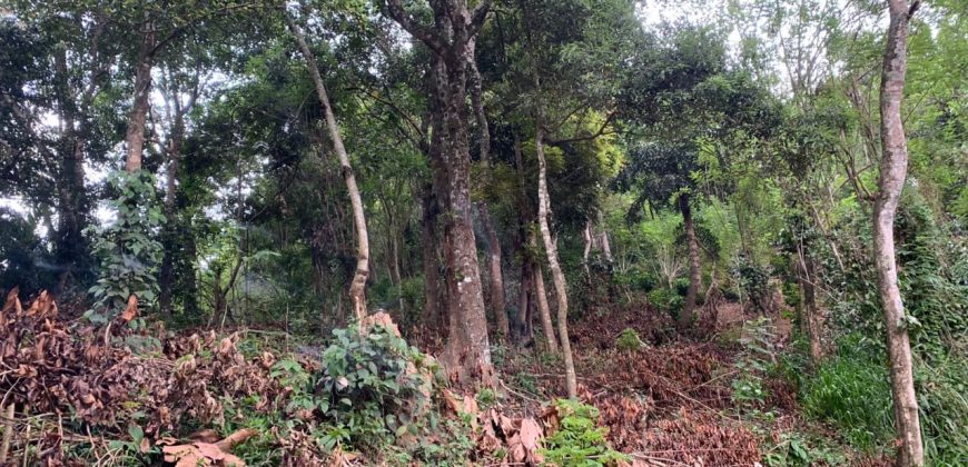 Land for Sale in Gannoruwa