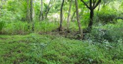 Land for Sale in Talathuoya – Hippola