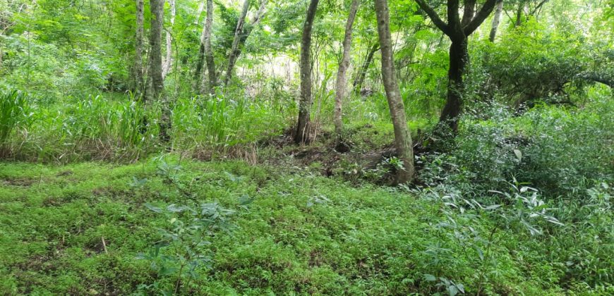 Land for Sale in Talathuoya – Hippola