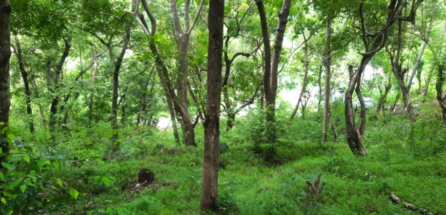 Land for Sale in Talathuoya – Hippola