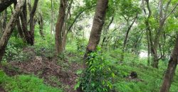 Land for Sale in Talathuoya – Hippola