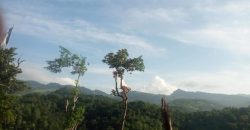 Land for Sale: Scenic Property near Gurudeniya, Thalathuoya Road