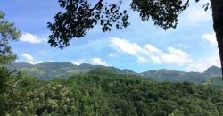 Land for Sale: Scenic Property near Gurudeniya, Thalathuoya Road